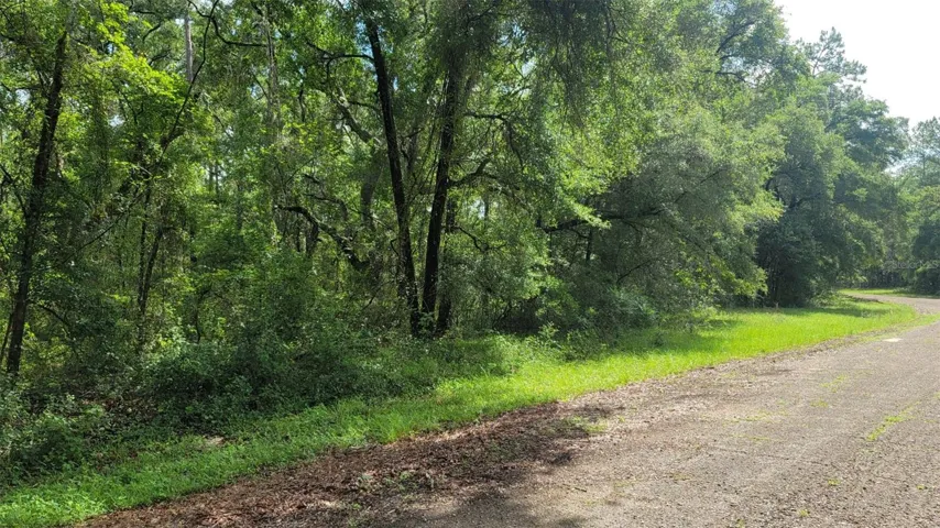 373 E Avondale Dr, Citrus Springs, Florida 34434, ,Land,For Sale,AVONDALE,A4658041