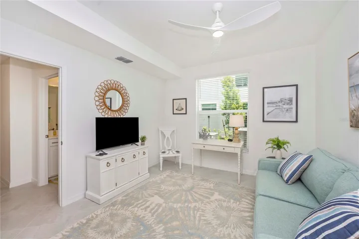 Den with pull out sofa