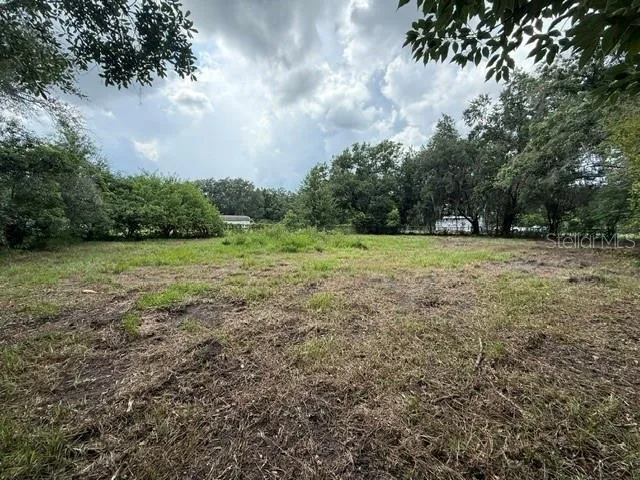 3011 S Wiggins Rd, Plant City, Florida 33566 — photo 4