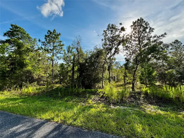 Land Frontage