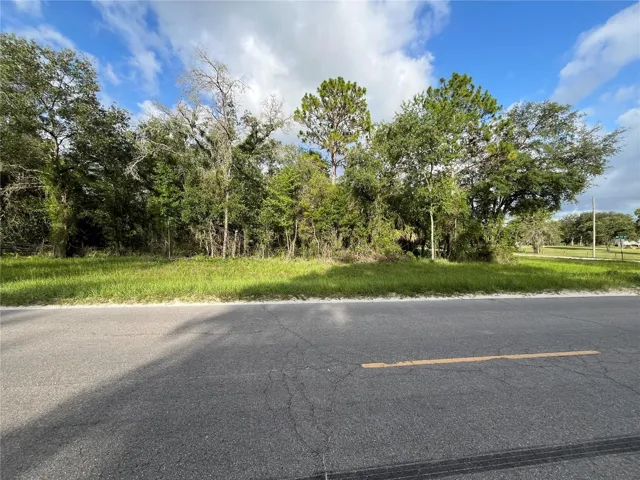 Tbd Se County Road 337, Morriston, Florida 32668, ,Land,For Sale,COUNTY ROAD 337,A4658397