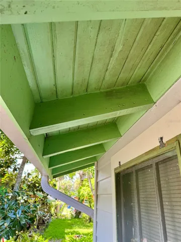 Architectural Detail, Open Eaves