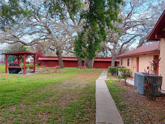 Community Picnic area