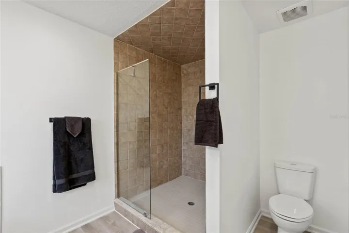 Primary Bath Shower