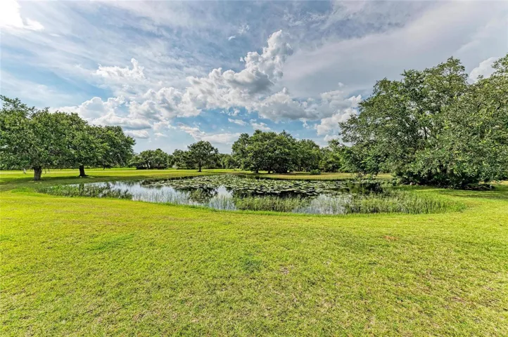 Pond in Front Yard