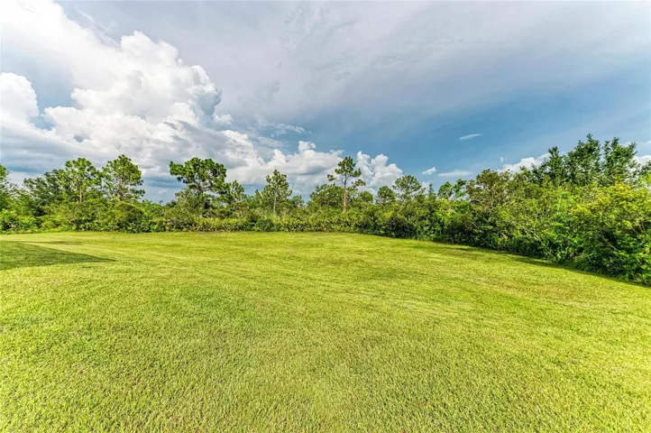 Expansive Yard