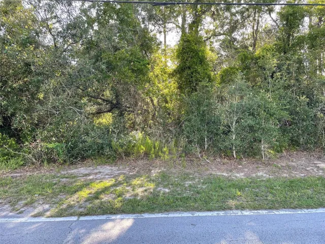 8217 Nightingale Rd, Weeki Wachee, Florida 34613, ,Land,For Sale,NIGHTINGALE,W7877267