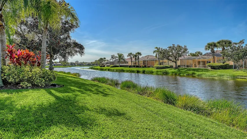 Peaceful Water View