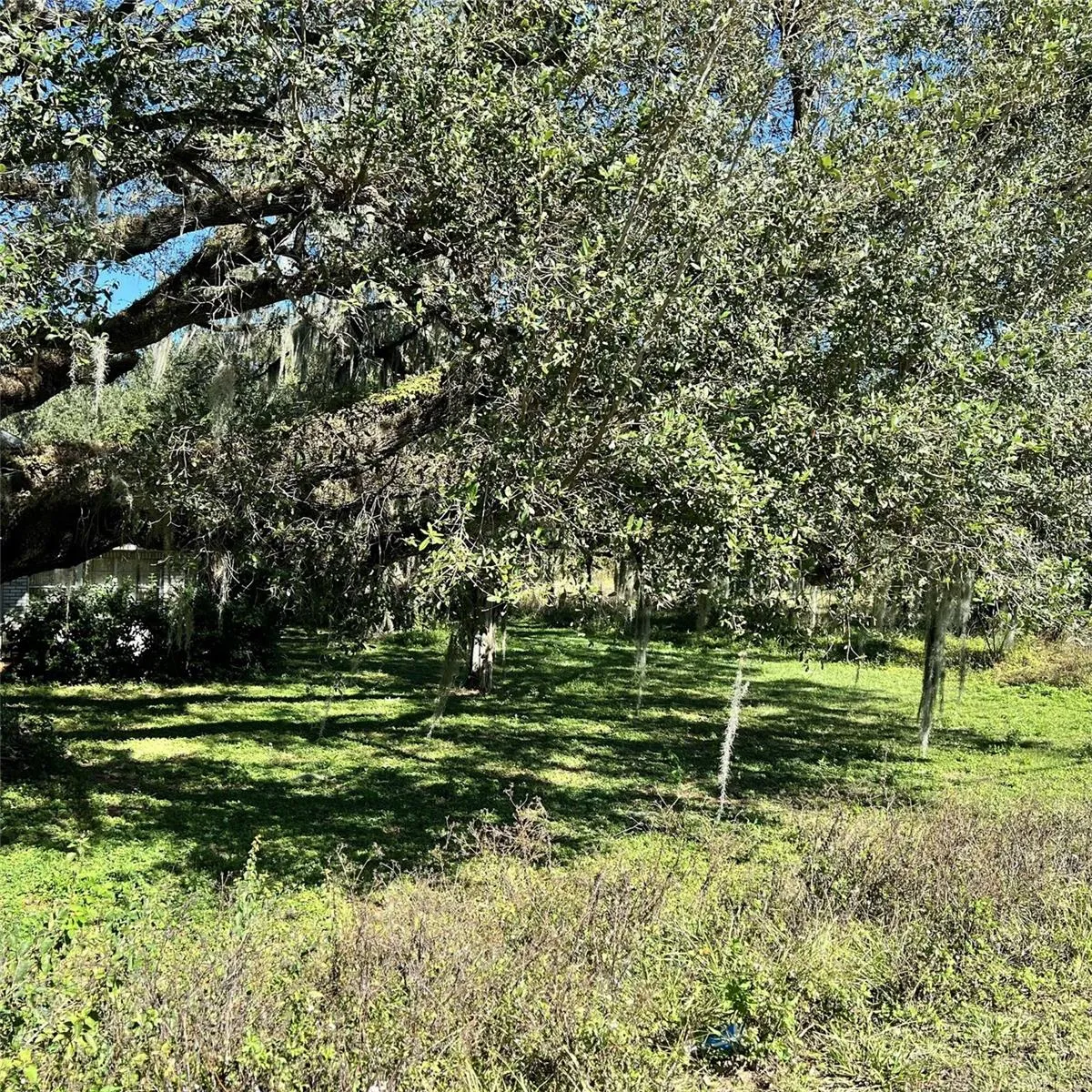 4504 E County Road 540a, Lakeland, Florida 33813 — photo 6