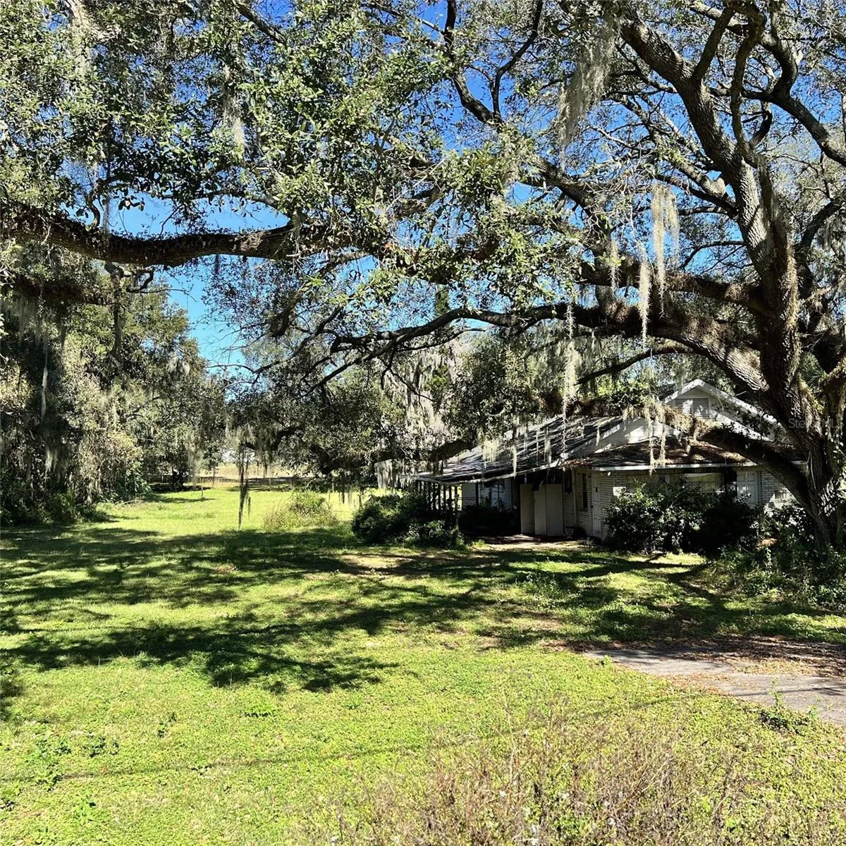 4504 E County Road 540a, Lakeland, Florida 33813 — photo 5