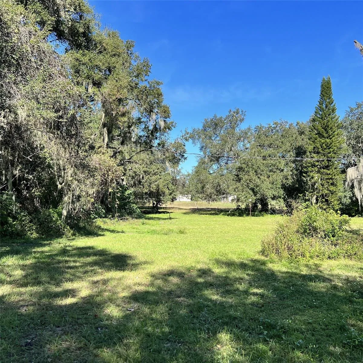 4504 E County Road 540a, Lakeland, Florida 33813 — photo 4