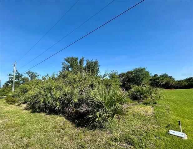 13306 High Springs Ave, Port Charlotte, Florida 33981, ,Land,For Sale,HIGH SPRINGS,A4658834