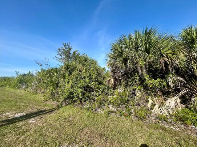 10047 Alvarez St, Port Charlotte, Florida 33981, ,Land,For Sale,ALVAREZ,A4658845