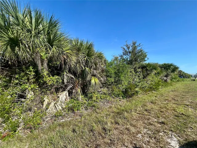 10039 Alvarez St, Port Charlotte, Florida 33981, ,Land,For Sale,ALVAREZ,A4658847