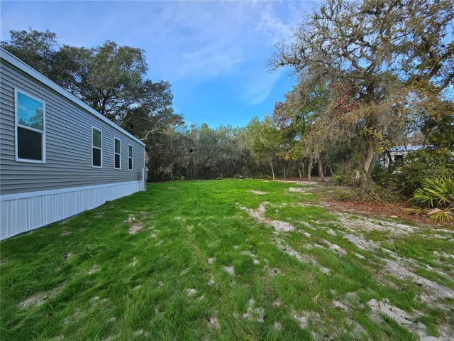 Side Yard