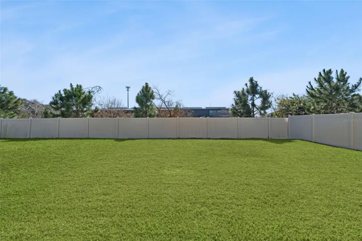 So much backyard!