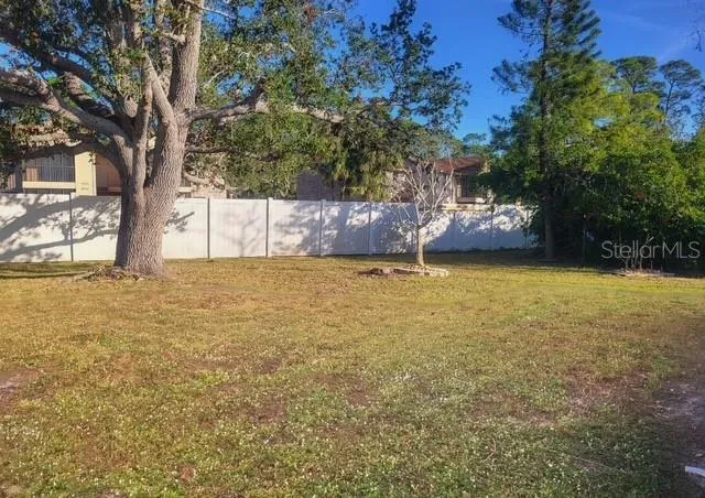 Spacious Back Yard
