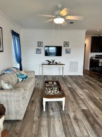 Wall mount TV in Living Room