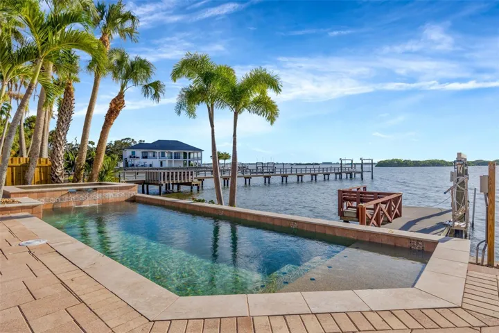 Watch the dolphins play from your pool!