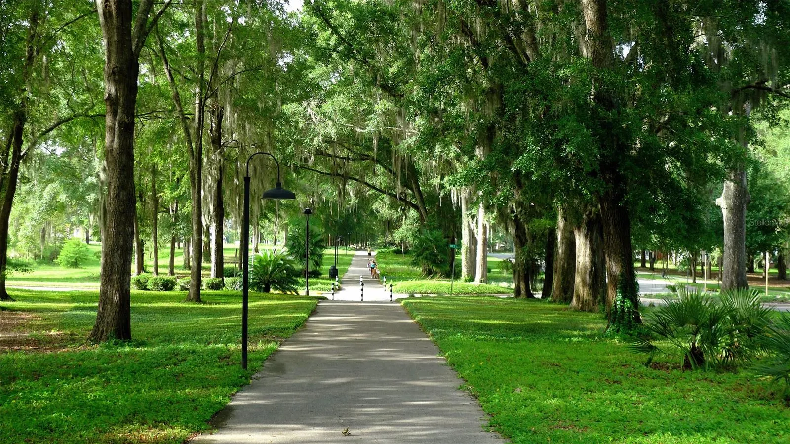 Neighborhood