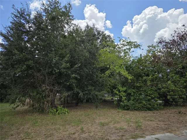 Lot view