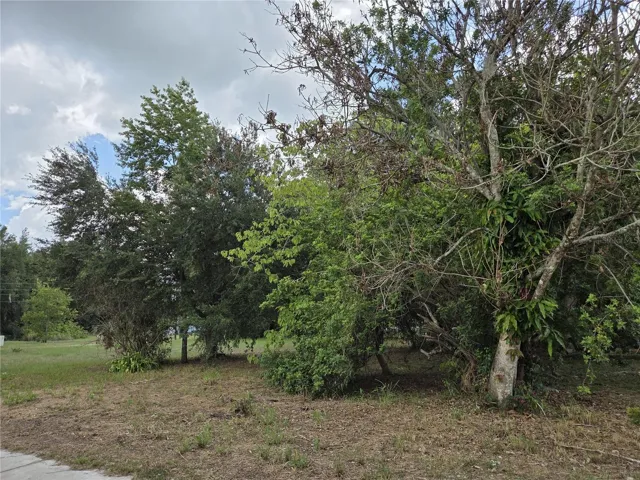 Lot view