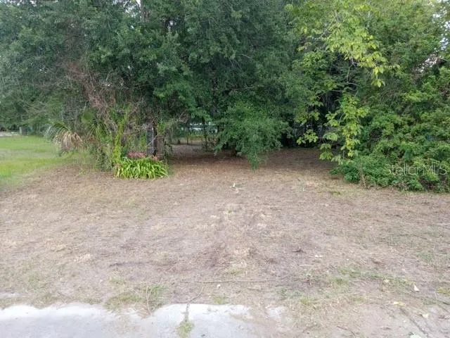 Lot view