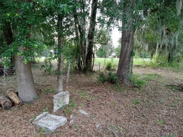 Lot view