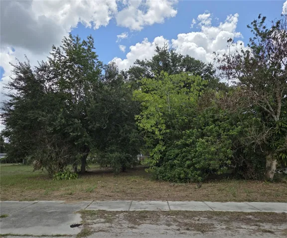 Lot view