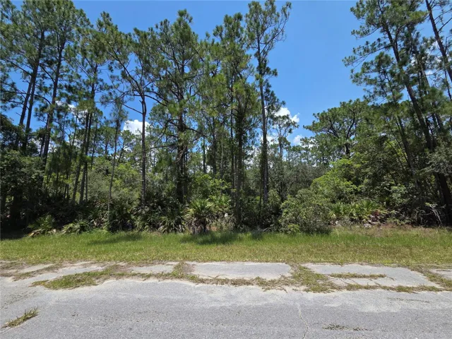 Lot view