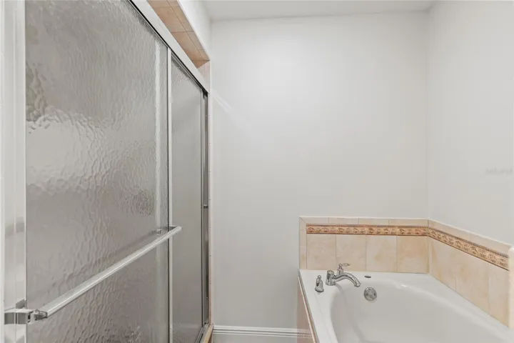 Master Bath Shower and Spa Tub