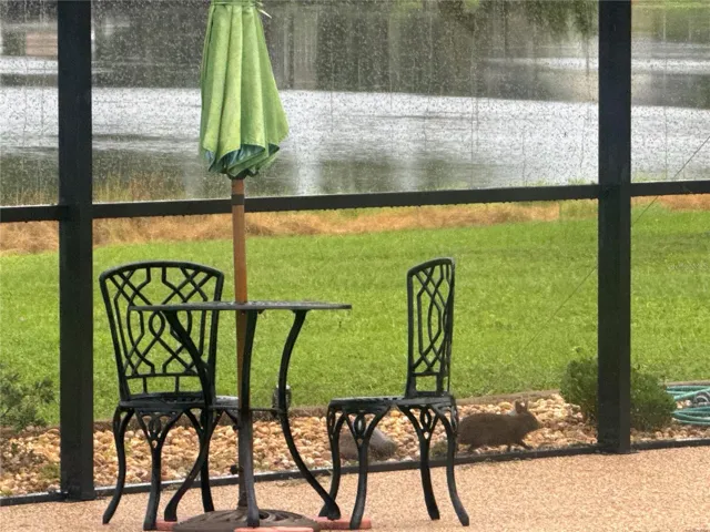 Lots of wild life, including bunnies, egrets, cranes, ducks, coots, eagles, hawks, bluebirds & other wild birds