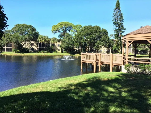 Pond