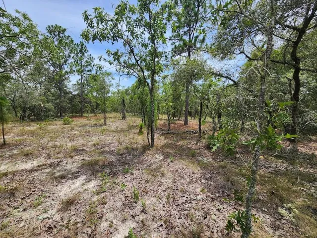 Lot 14
