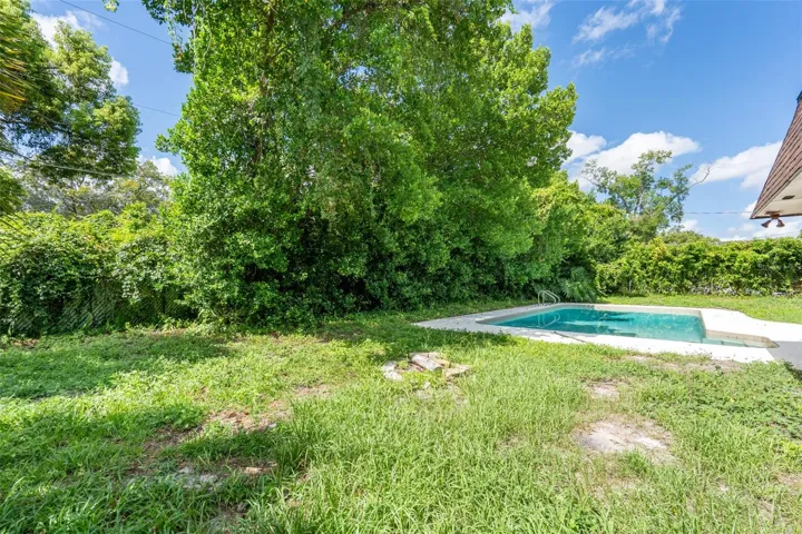 Backyard