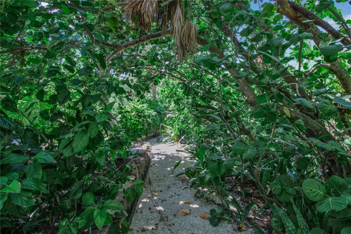 Garden Pathway on the side of the house