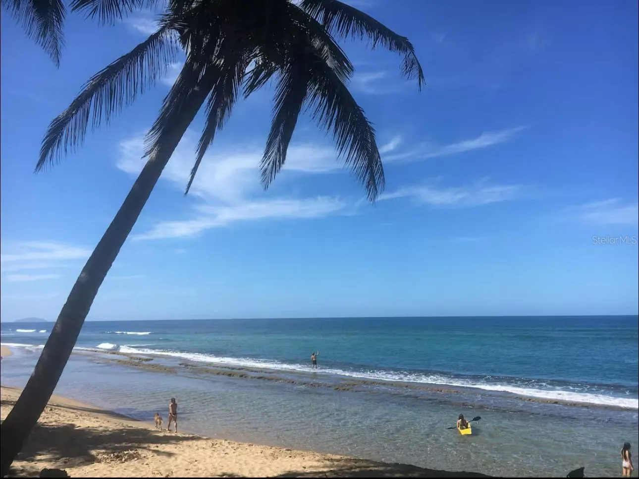 Dreamy tidal pool during season