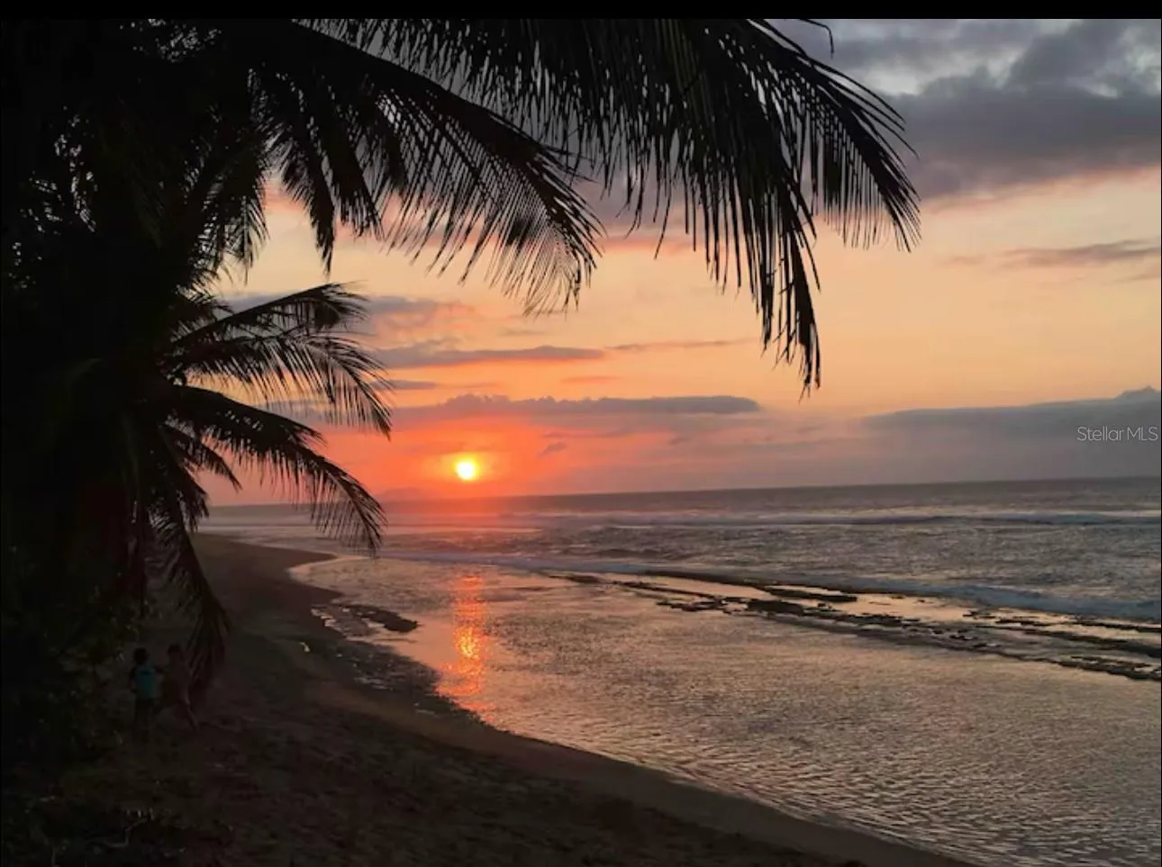 The most beautiful sunsets
