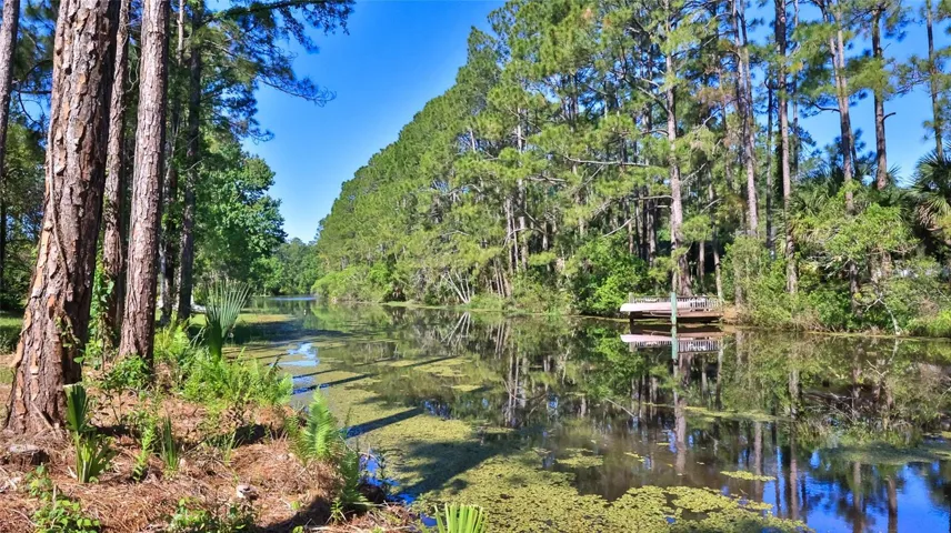 back water view