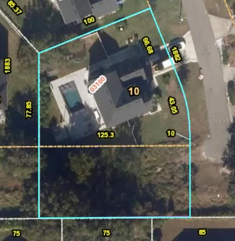 The lot line is the blue line, almost half an Acre.