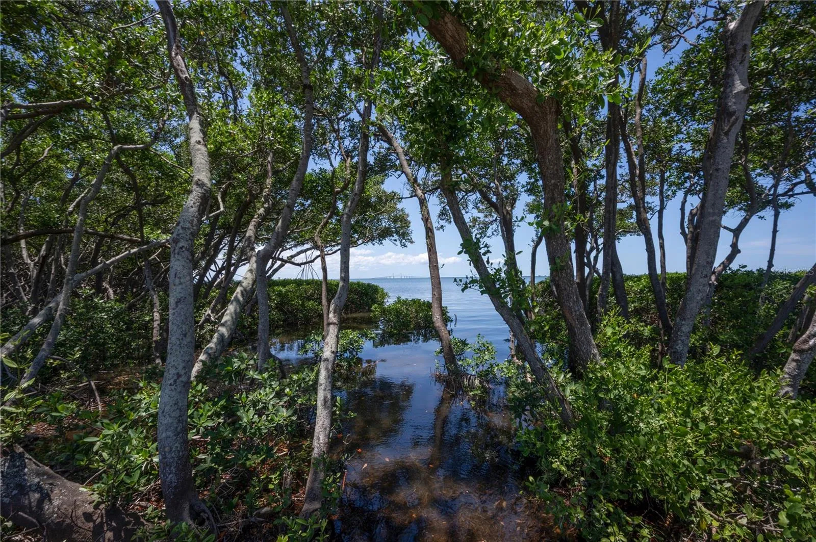 Gorgeous waterfront areas to enjoy