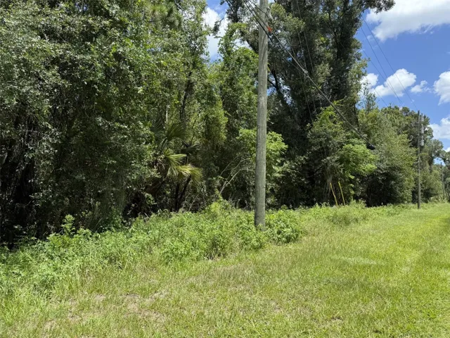 Heavily wooded 20 acres with 10 estate homesite.