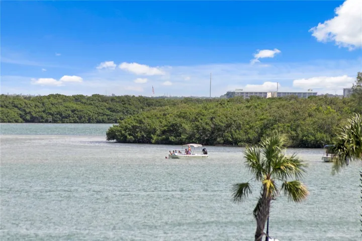 Enjoying a Summer Afternoon