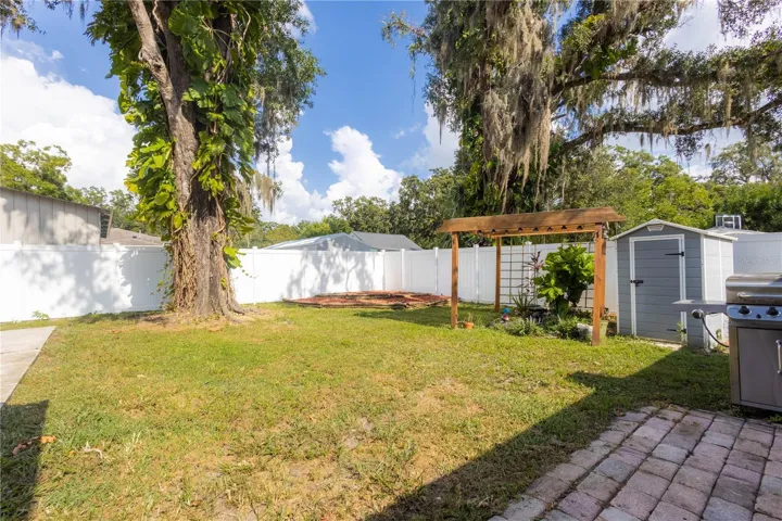 Backyard