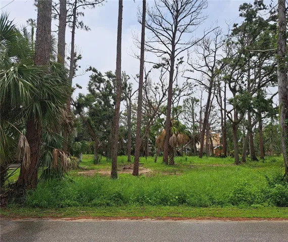 front view, lot 4
