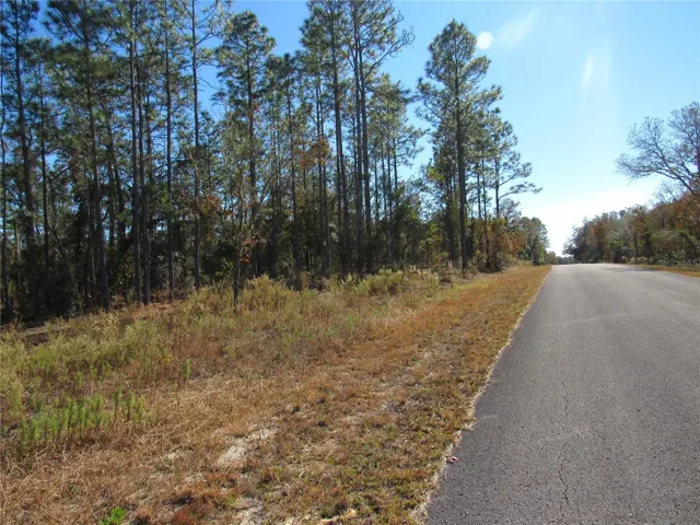 Gorgeous One-Acre Wooded New Build Site Located On Sands PT Ave in Rainbow Lakes Estates an Established Popular Community In Dunnellon, FL...Don't Miss This Beautiful Opportunity For Your Future Florida Dream Home!!
