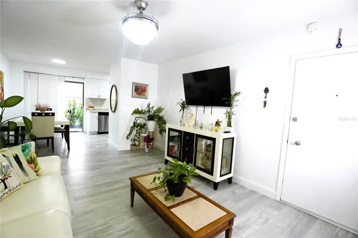 Living room & dining room  & kitchen combo