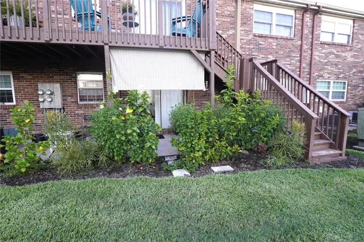 Back yard
