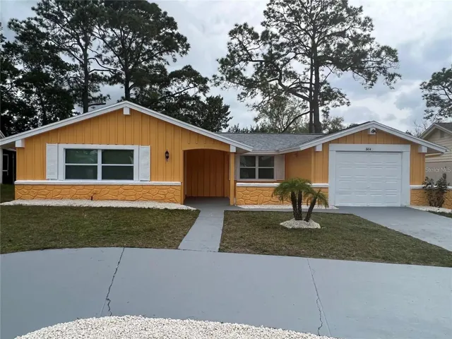 Front View