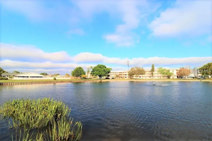 Community pond